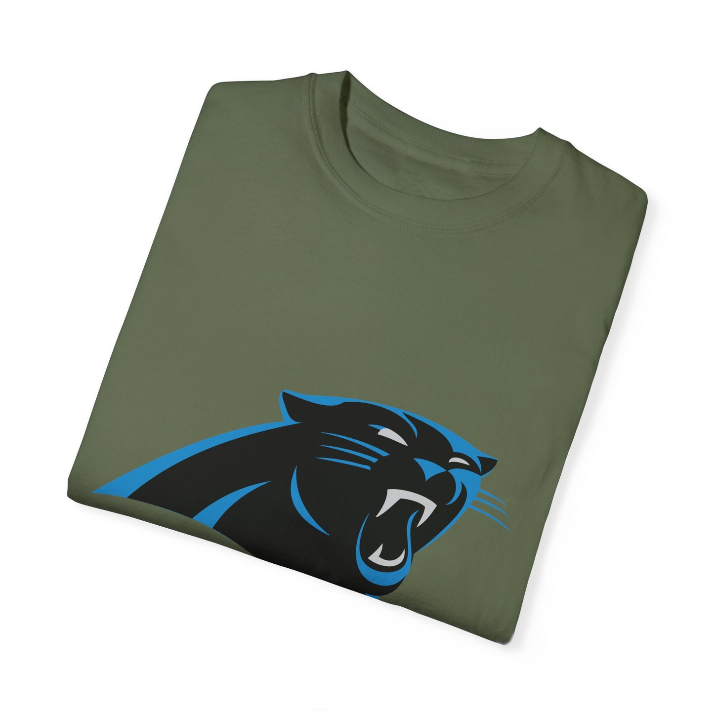 Carolina Panthers Go Panthers Garment-Dyed T-Shirt – Premium Cotton Tee for Customization
