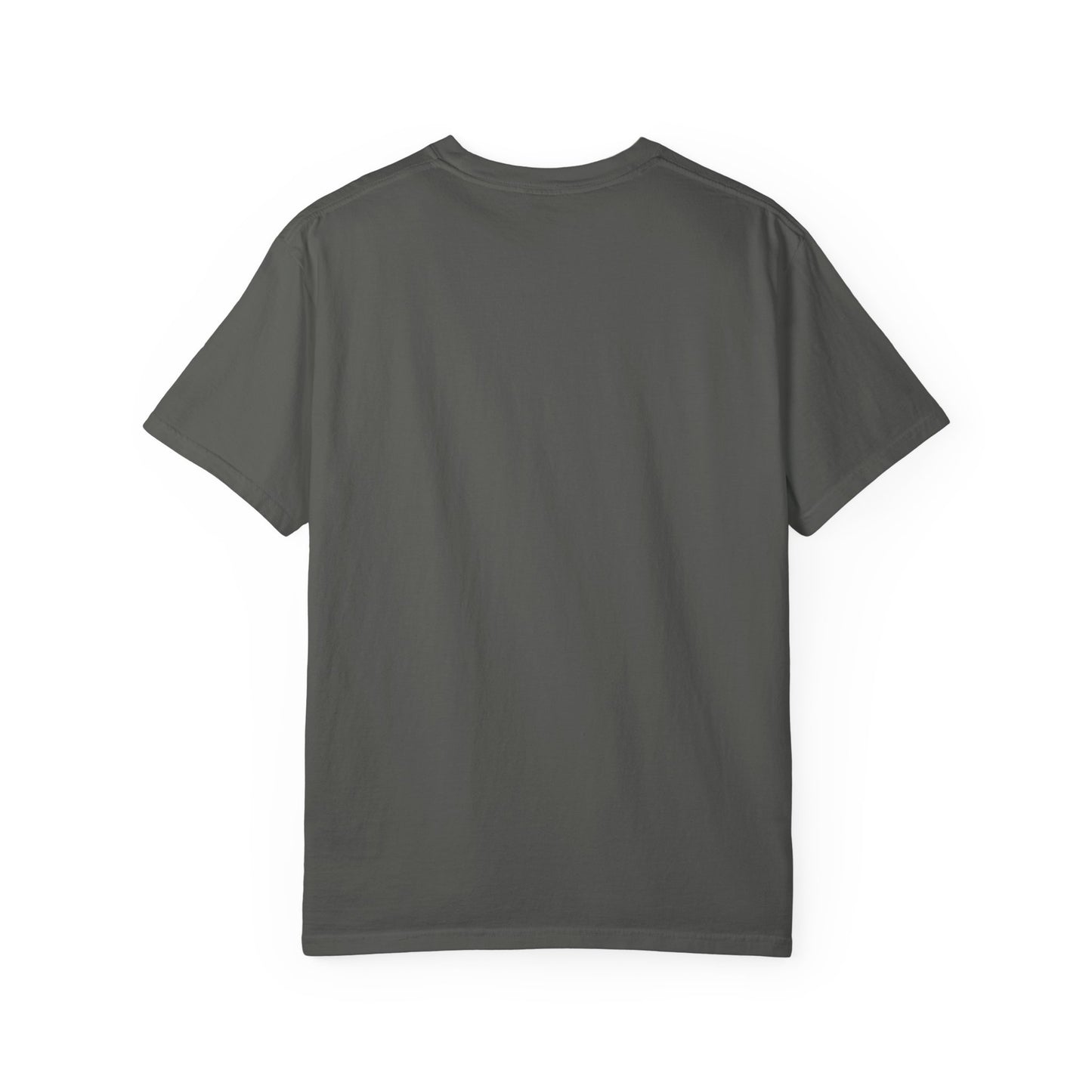 Charlotte Hornets Garment-Dyed T-Shirt – Premium Cotton Tee for Customization