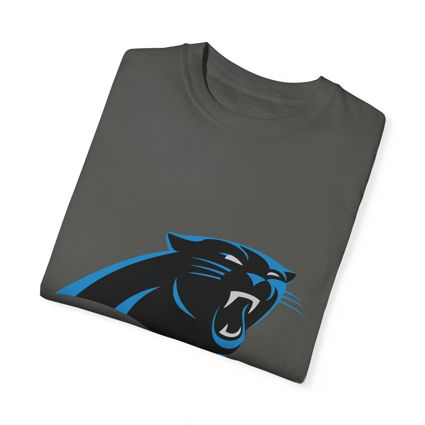 Carolina Panthers Go Panthers Garment-Dyed T-Shirt – Premium Cotton Tee for Customization