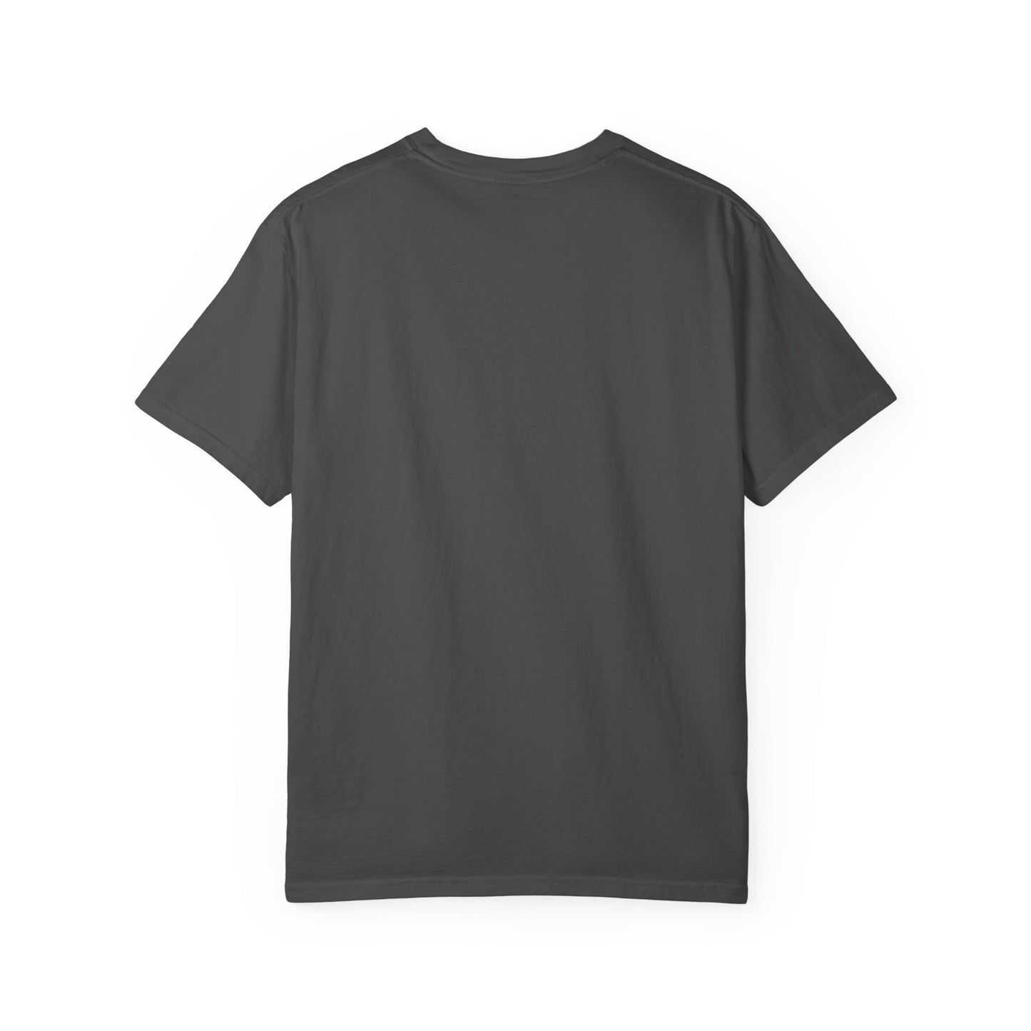 Toronto Raptors Game Day Garment-Dyed T-Shirt – Premium Cotton Tee for Customization