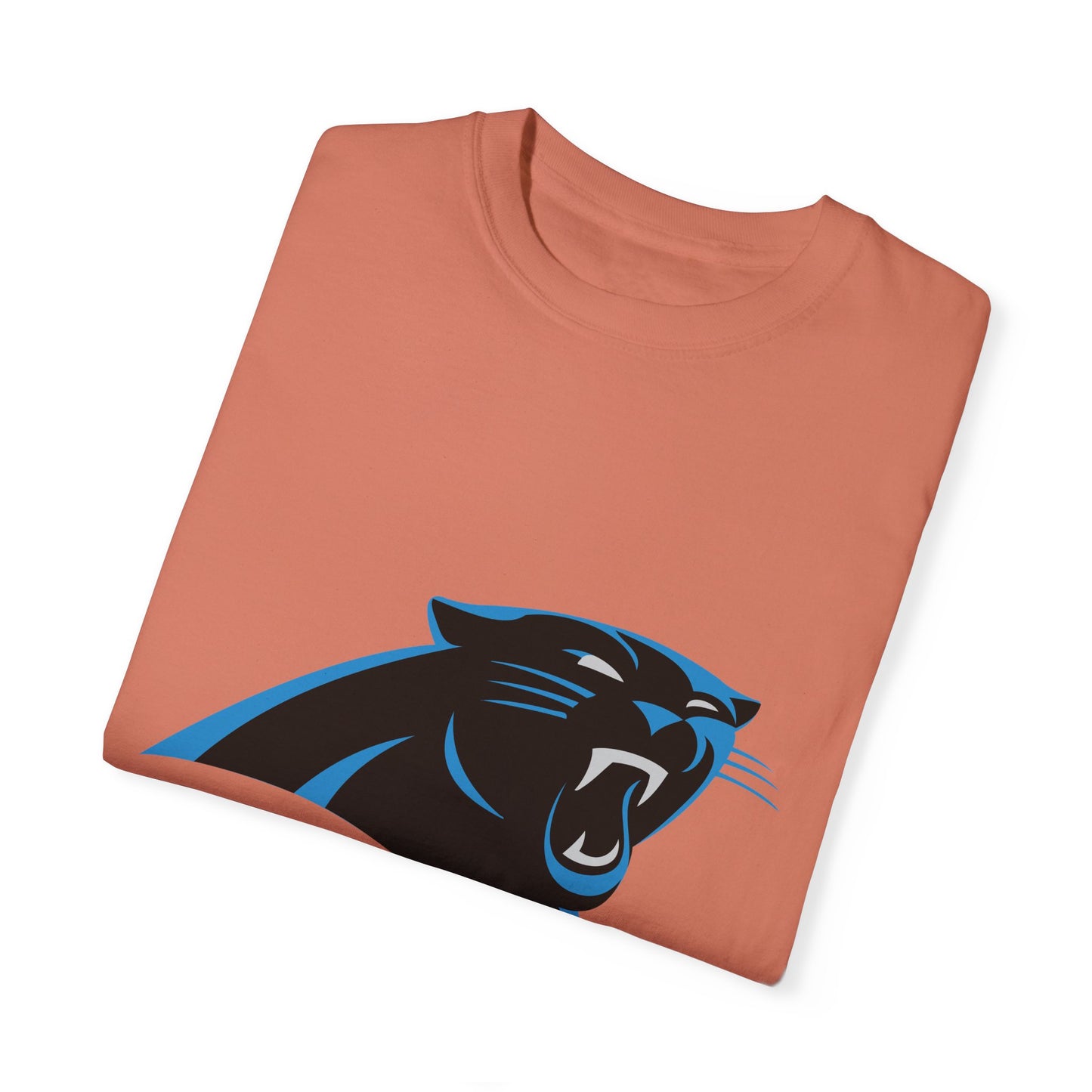 Carolina Panthers Go Panthers Garment-Dyed T-Shirt – Premium Cotton Tee for Customization