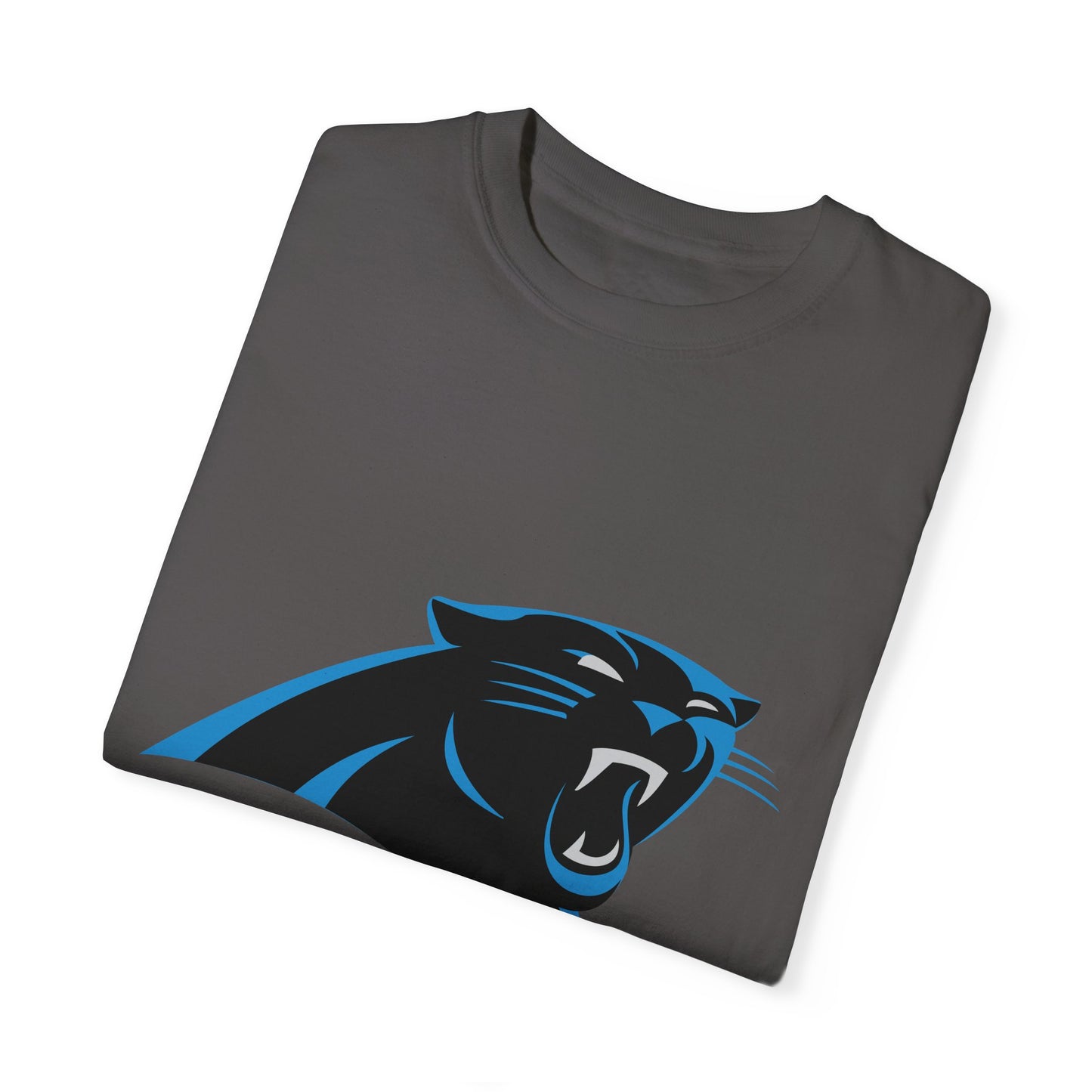Carolina Panthers Go Panthers Garment-Dyed T-Shirt – Premium Cotton Tee for Customization