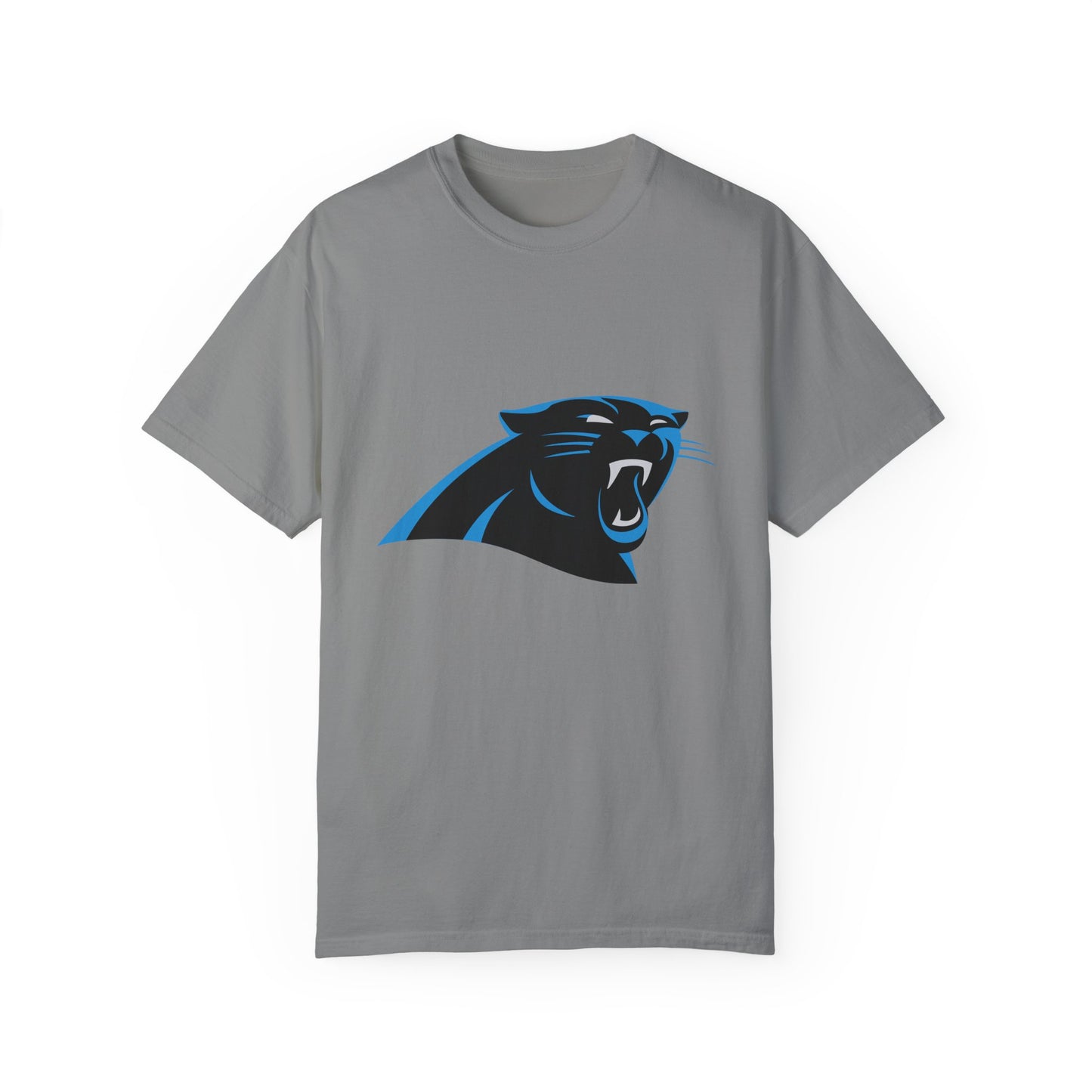 Carolina Panthers Go Panthers Garment-Dyed T-Shirt – Premium Cotton Tee for Customization