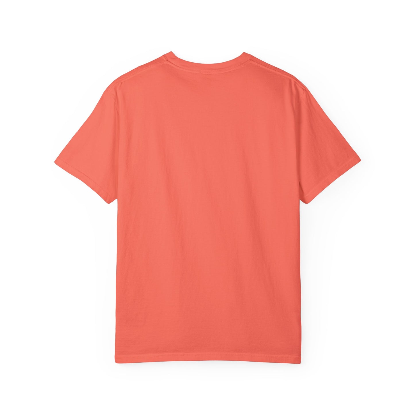 Indiana Pacers Built Different Garment-Dyed T-Shirt – Premium Cotton Tee for Customization