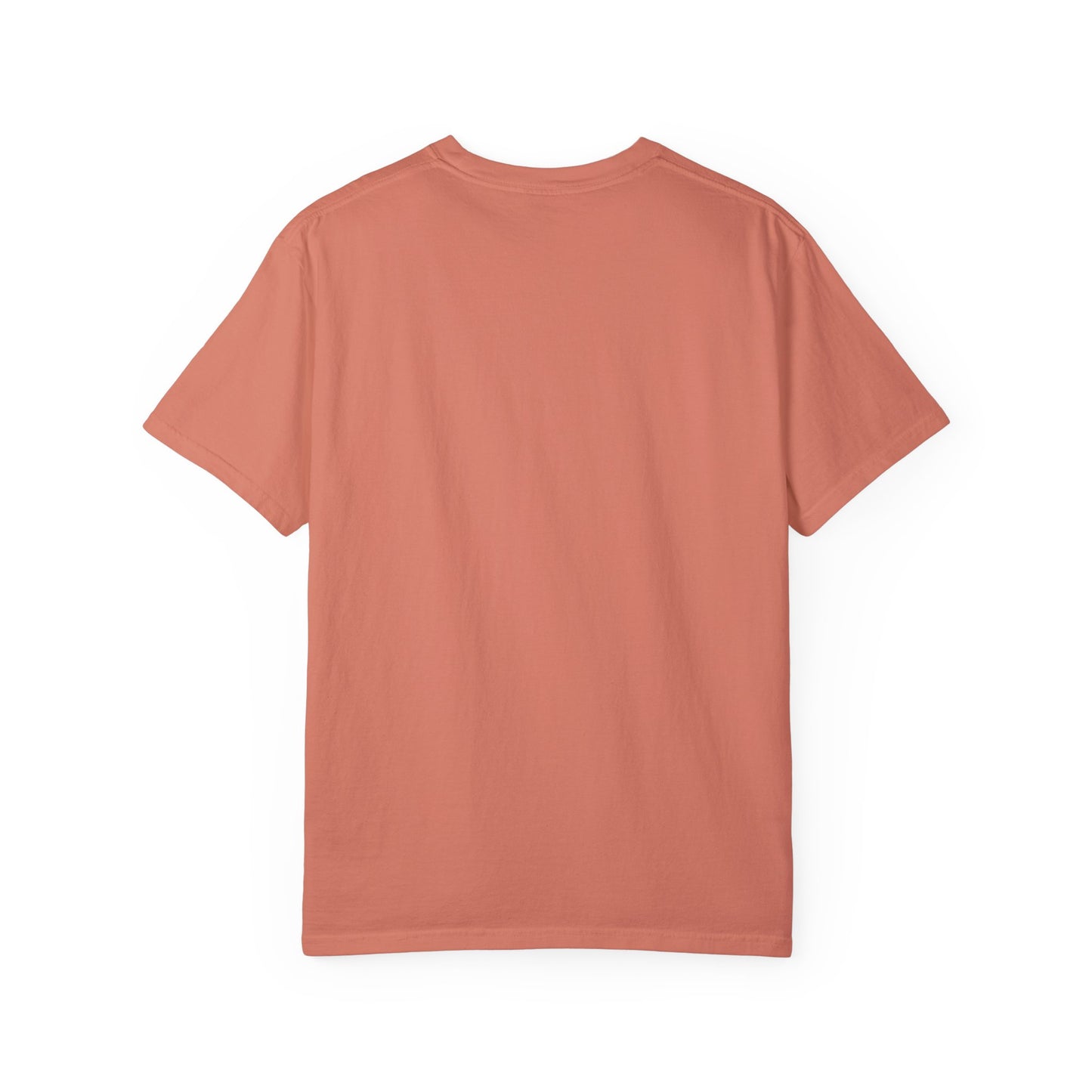 Detroit Lions Nation Garment-Dyed T-Shirt – Premium Cotton Tee for Customization